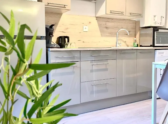 L'appart Des Tanneurs * Metz