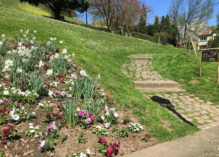 L'appart Des Tanneurs * Metz